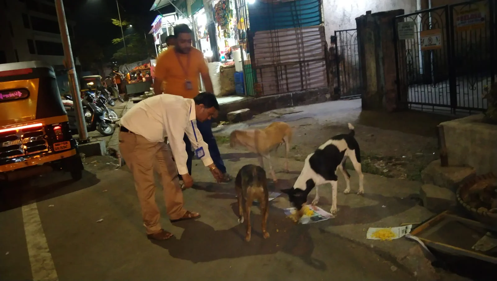 C.H.H.F's "Voice of Voiceless" Initiative: Nourishing Lives, Empowering Strays